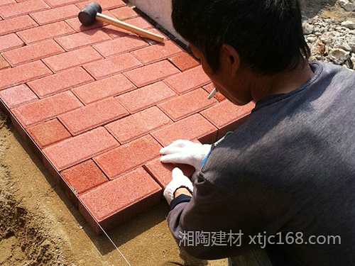 長(zhǎng)沙動(dòng)物園項(xiàng)目