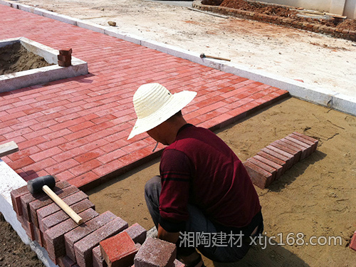 長(zhǎng)沙動(dòng)物園項(xiàng)目